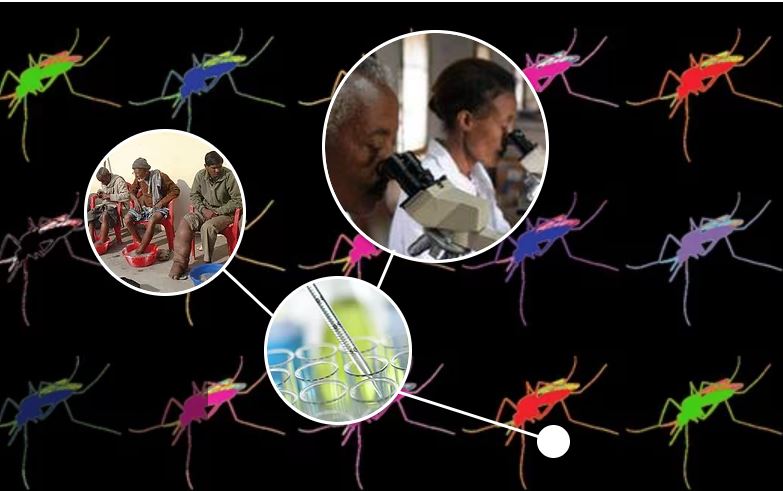 ISNTD d³ - Drug discovery, development & diagnostics for NTDs - London ...